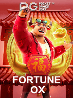 Usuário satisfeito do 48Tcom